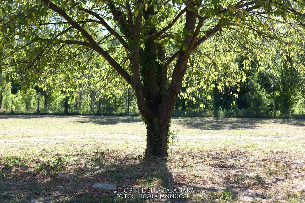 Horti Della Fasanara Guest House Ferrara Exterior photo