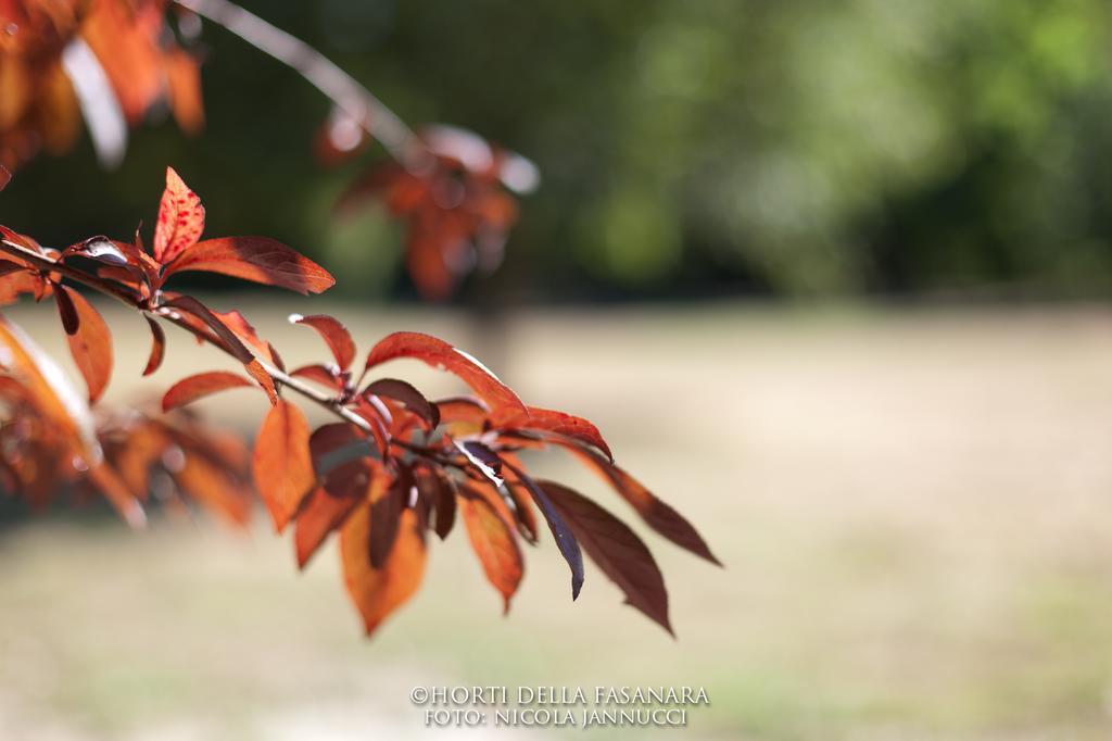 Horti Della Fasanara Guest House Ferrara Exterior photo