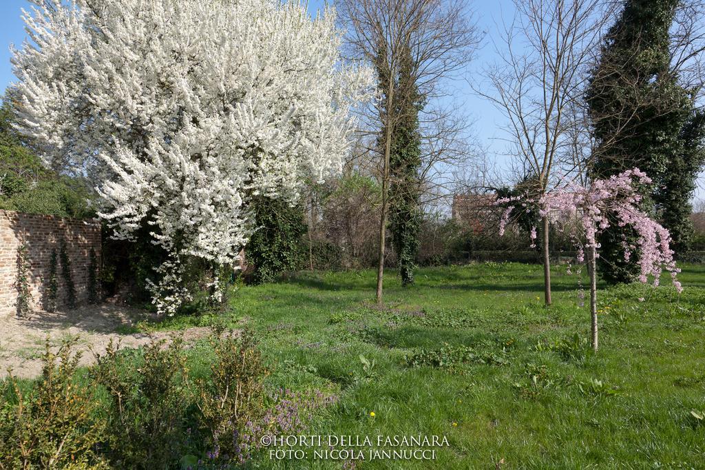 Horti Della Fasanara Guest House Ferrara Exterior photo
