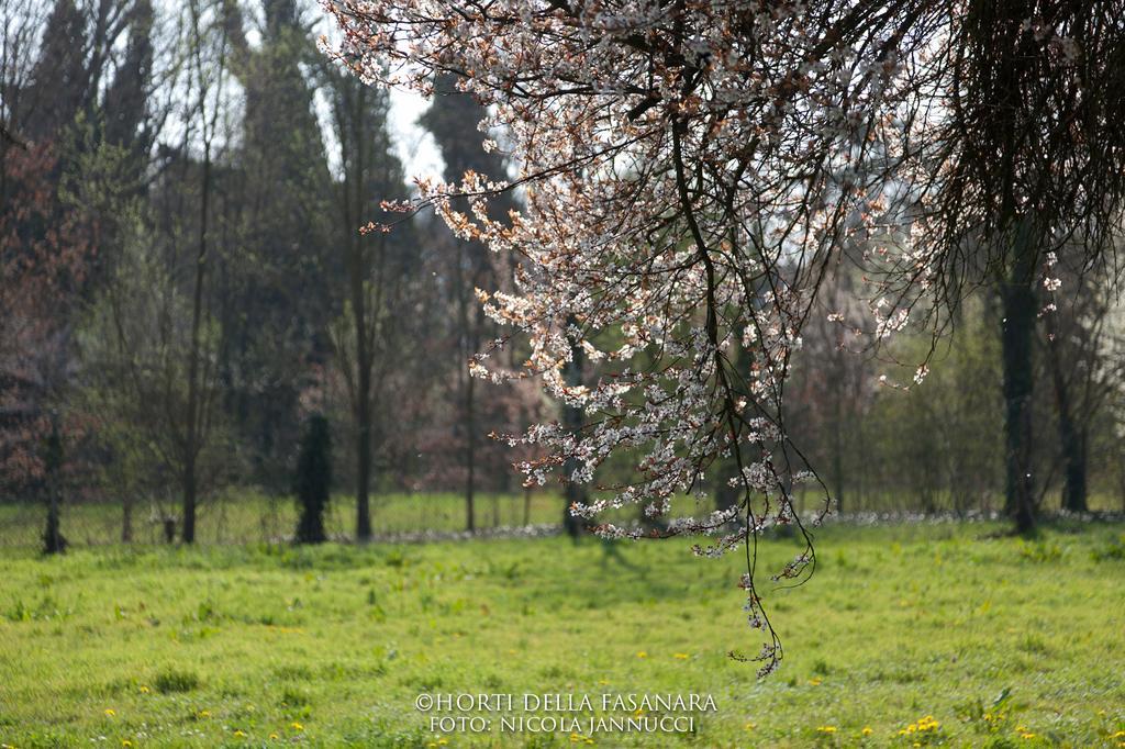 Horti Della Fasanara Guest House Ferrara Exterior photo